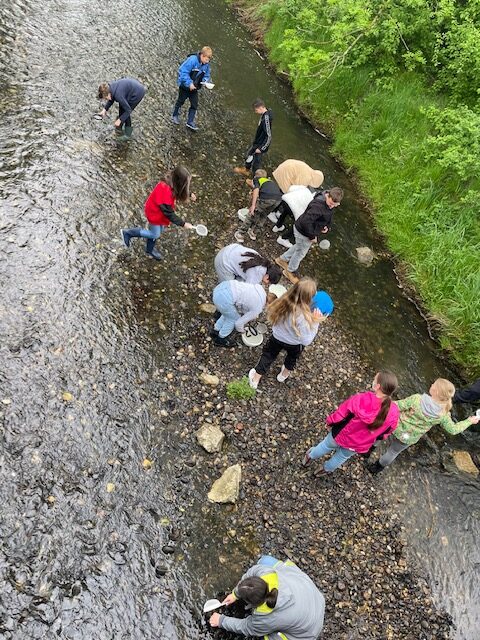 leven_image16-rotated