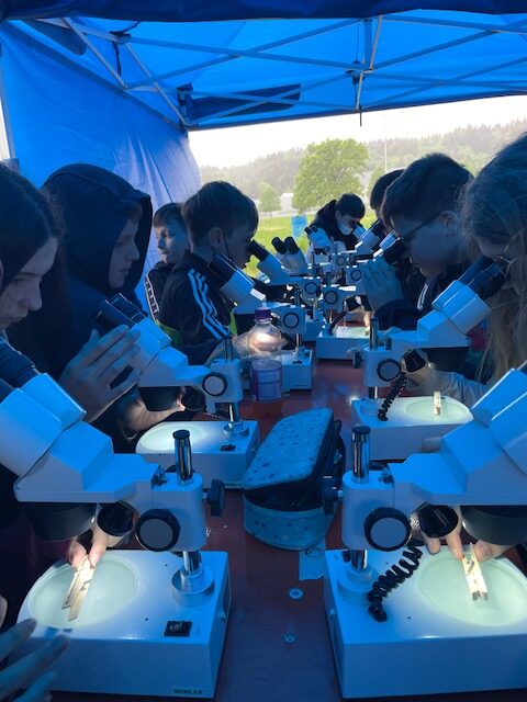 leven_image4-rotated