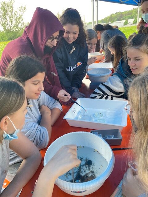 leven_image7-rotated